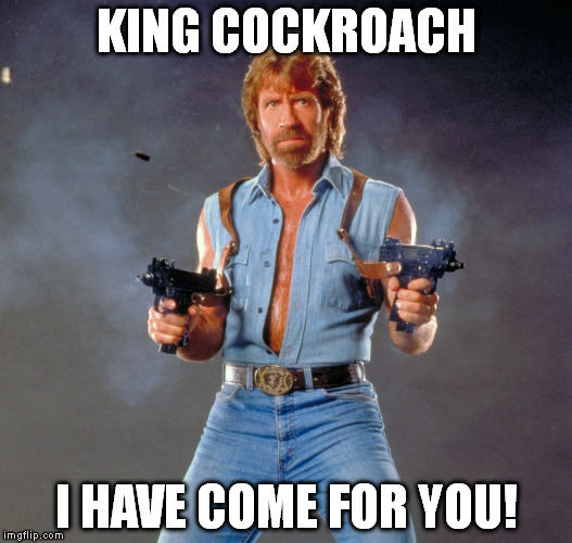 Chuck Norris Guns | KING COCKROACH; I HAVE COME FOR YOU! | image tagged in chuck norris | made w/ Imgflip meme maker