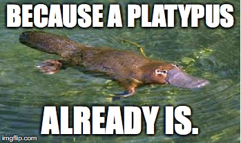 Platypus by Strongly Opinionated Platypus | BECAUSE A PLATYPUS ALREADY IS. | image tagged in platypus by strongly opinionated platypus | made w/ Imgflip meme maker