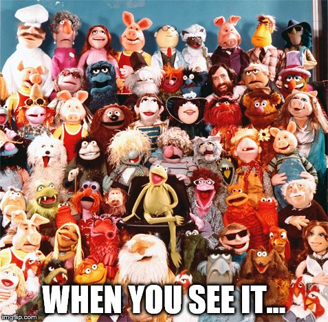 Spot the odd one out | WHEN YOU SEE IT... | image tagged in memes,muppets,tv | made w/ Imgflip meme maker