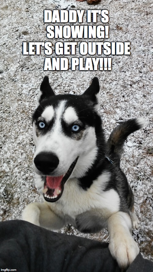 DADDY IT'S SNOWING! LET'S GET OUTSIDE AND PLAY!!! | image tagged in let's play in the snow | made w/ Imgflip meme maker