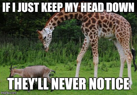 IF I JUST KEEP MY HEAD DOWN THEY'LL NEVER NOTICE | made w/ Imgflip meme maker