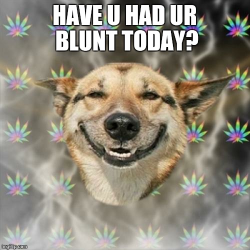 Stoner Dog |  HAVE U HAD UR BLUNT TODAY? | image tagged in memes,stoner dog | made w/ Imgflip meme maker