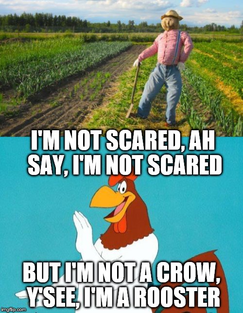 You've got to admire his logic | I'M NOT SCARED, AH SAY, I'M NOT SCARED; BUT I'M NOT A CROW, Y'SEE, I'M A ROOSTER | image tagged in memes,foghorn leghorn,animals | made w/ Imgflip meme maker