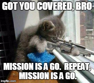 GOT YOU COVERED, BRO MISSION IS A GO.  REPEAT, MISSION IS A GO. | made w/ Imgflip meme maker