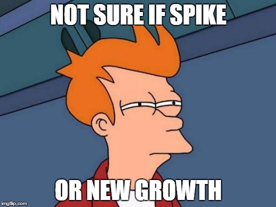 Futurama Fry Meme | NOT SURE IF SPIKE; OR NEW GROWTH | image tagged in memes,futurama fry,orchids | made w/ Imgflip meme maker
