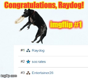 Well done, top dog!  Keep making great memes. :) | Congratulations, Raydog! imgflip #1 | image tagged in memes,imgflip,leaderboard,raydog,1 | made w/ Imgflip meme maker