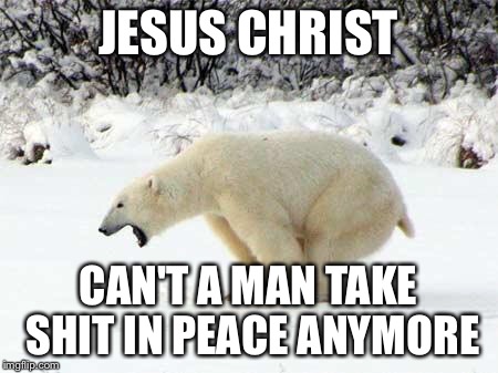 When your family finds out you are in the toilet | JESUS CHRIST; CAN'T A MAN TAKE SHIT IN PEACE ANYMORE | image tagged in polar bear shits in the snow,memes,funny | made w/ Imgflip meme maker