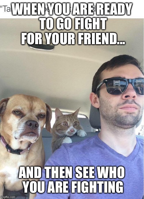 Surprised  | WHEN YOU ARE READY TO GO FIGHT FOR YOUR FRIEND... AND THEN SEE WHO YOU ARE FIGHTING | image tagged in memes,funny memes,cat,ready | made w/ Imgflip meme maker