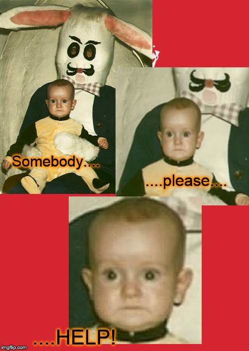 S.O.S. | Somebody.... ....please.... ....HELP! | image tagged in funny memes,funny meme,memes,baby,scared,bunny | made w/ Imgflip meme maker