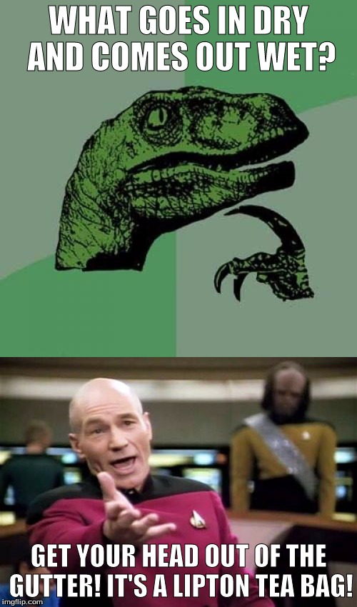 WHAT GOES IN DRY AND COMES OUT WET? GET YOUR HEAD OUT OF THE GUTTER! IT'S A LIPTON TEA BAG! | image tagged in philosoraptor,picard wtf | made w/ Imgflip meme maker