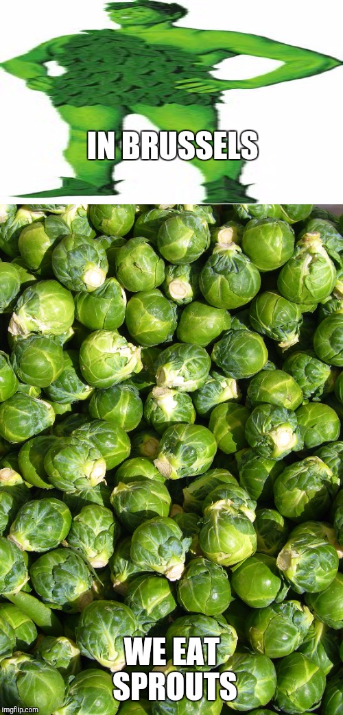 IN BRUSSELS WE EAT SPROUTS | made w/ Imgflip meme maker
