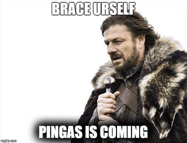Brace Yourselves X is Coming | BRACE URSELF; PINGAS IS COMING | image tagged in memes,brace yourselves x is coming | made w/ Imgflip meme maker
