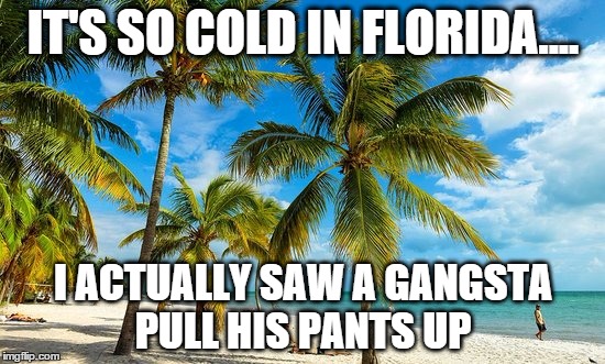 Florida weather | IT'S SO COLD IN FLORIDA.... I ACTUALLY SAW A GANGSTA PULL HIS PANTS UP | image tagged in florida weather | made w/ Imgflip meme maker