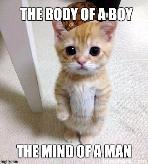 Cute Cat Meme | THE BODY OF A BOY; THE MIND OF A MAN | image tagged in memes,cute cat,scumbag | made w/ Imgflip meme maker