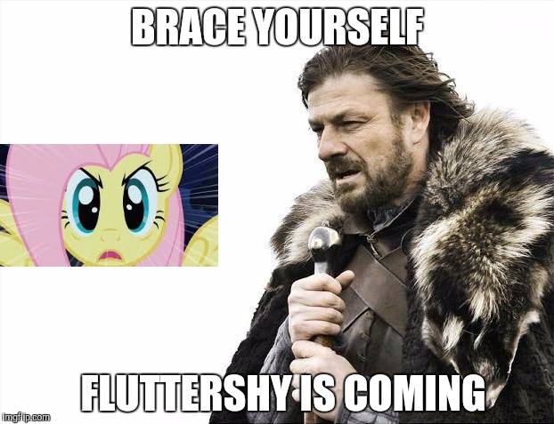 Fluttershy is coming... | BRACE YOURSELF; FLUTTERSHY IS COMING | image tagged in memes,brace yourselves x is coming,fluttershy,mlp,my little pony | made w/ Imgflip meme maker
