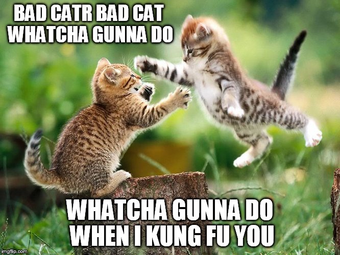 BAD CATR BAD CAT WHATCHA GUNNA DO WHATCHA GUNNA DO WHEN I KUNG FU YOU | made w/ Imgflip meme maker
