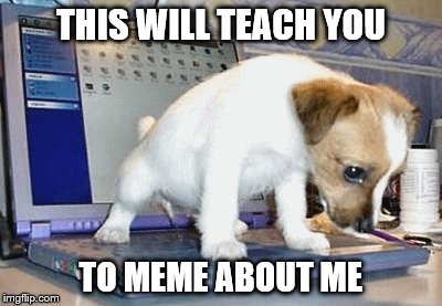 Maybe they're offended too, like everyone else. | THIS WILL TEACH YOU; TO MEME ABOUT ME | image tagged in memes,dog | made w/ Imgflip meme maker