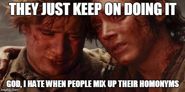 Lord of the rings  | THEY JUST KEEP ON DOING IT; GOD, I HATE WHEN PEOPLE MIX UP THEIR HOMONYMS | image tagged in lord of the rings | made w/ Imgflip meme maker