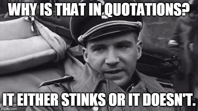 Grammar Nazi | WHY IS THAT IN QUOTATIONS? IT EITHER STINKS OR IT DOESN'T. | image tagged in grammar nazi | made w/ Imgflip meme maker