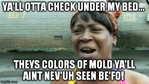 Ain't Nobody Got Time For That Meme | YA'LL OTTA CHECK UNDER MY BED... THEYS COLORS OF MOLD YA'LL AINT NEV'UH SEEN BE'FO! | image tagged in memes,aint nobody got time for that | made w/ Imgflip meme maker