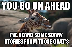YOU GO ON AHEAD I'VE HEARD SOME SCARY STORIES FROM THOSE GOAT'S | made w/ Imgflip meme maker