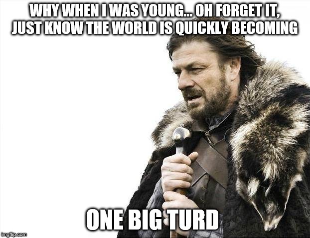 Brace Yourselves X is Coming Meme | WHY WHEN I WAS YOUNG... OH FORGET IT, JUST KNOW THE WORLD IS QUICKLY BECOMING; ONE BIG TURD | image tagged in memes,brace yourselves x is coming | made w/ Imgflip meme maker