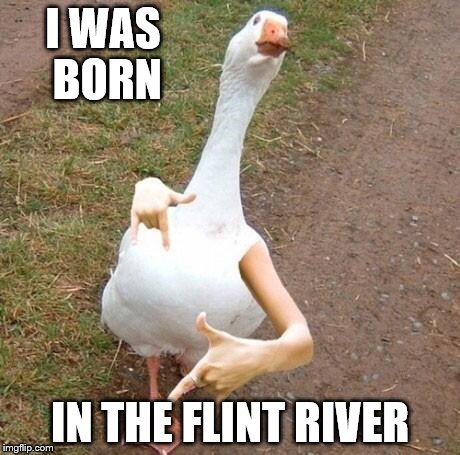 I WAS BORN IN THE FLINT RIVER | made w/ Imgflip meme maker