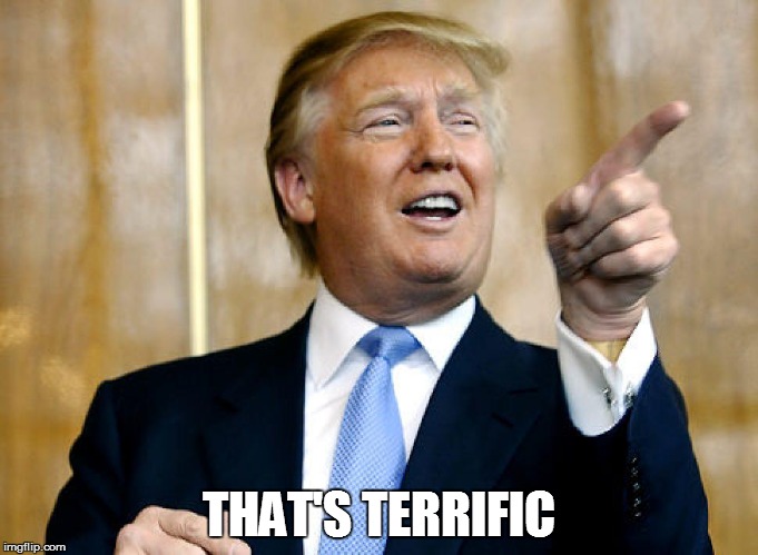 thats terrific | THAT'S TERRIFIC | image tagged in donald trump | made w/ Imgflip meme maker