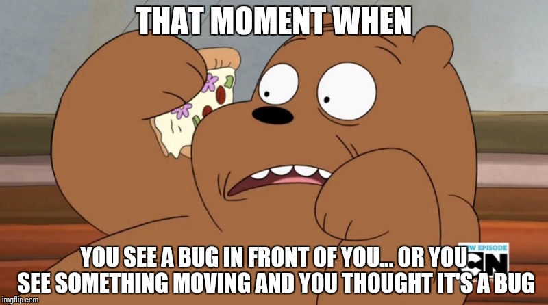 We Bare Bears: WTF face | THAT MOMENT WHEN; YOU SEE A BUG IN FRONT OF YOU... OR YOU SEE SOMETHING MOVING AND YOU THOUGHT IT'S A BUG | image tagged in we bare bears,meme | made w/ Imgflip meme maker