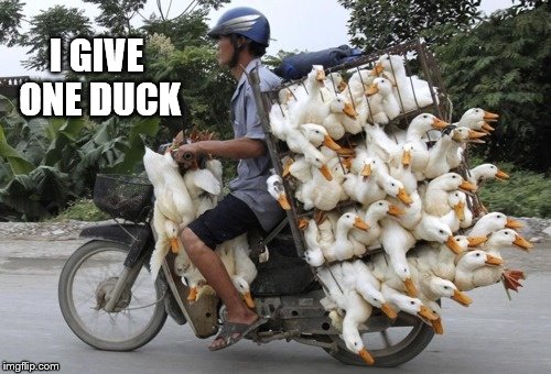 At least he cares.  A little. | I GIVE ONE DUCK | image tagged in memes,no fucks to give | made w/ Imgflip meme maker