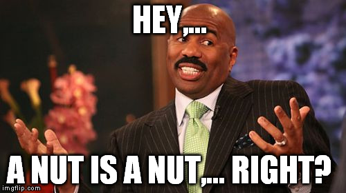 HEY,... A NUT IS A NUT,... RIGHT? | image tagged in memes,steve harvey | made w/ Imgflip meme maker