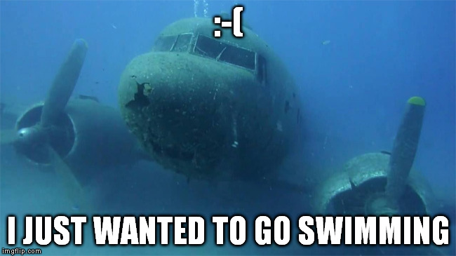 Airplanes, Airplanes Swimming in the Ocean... | :-(; I JUST WANTED TO GO SWIMMING | image tagged in sunken plane,memes,sink,swimming | made w/ Imgflip meme maker