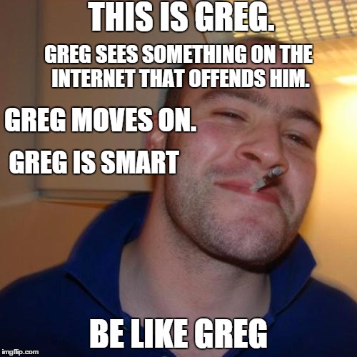 Good Guy Greg Meme | THIS IS GREG. GREG SEES SOMETHING ON THE INTERNET THAT OFFENDS HIM. GREG MOVES ON. GREG IS SMART; BE LIKE GREG | image tagged in memes,good guy greg | made w/ Imgflip meme maker