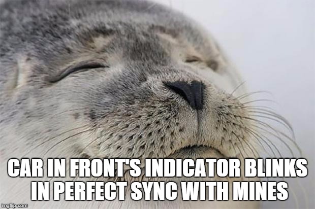 Satisfied Seal | CAR IN FRONT'S INDICATOR BLINKS IN PERFECT SYNC WITH MINES | image tagged in memes,satisfied seal,AdviceAnimals | made w/ Imgflip meme maker