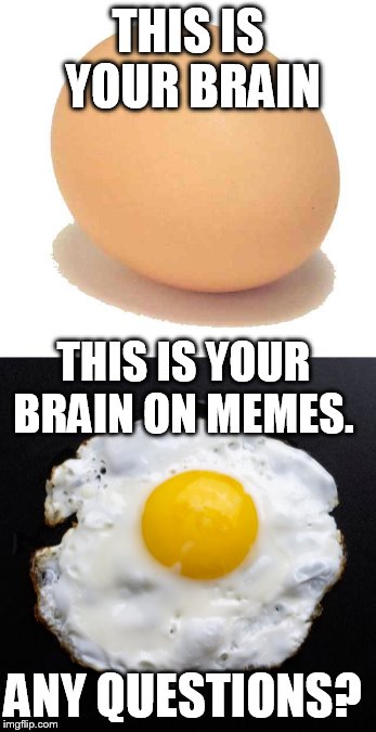 THIS IS YOUR BRAIN THIS IS YOUR BRAIN ON MEMES. ANY QUESTIONS? | made w/ Imgflip meme maker