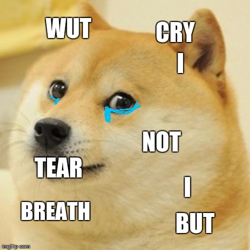 Me reading Percy Jackson:  The Son Of Neptune | CRY; WUT; I; NOT; TEAR; I; BREATH; BUT | image tagged in memes,doge | made w/ Imgflip meme maker