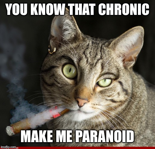 YOU KNOW THAT CHRONIC MAKE ME PARANOID | made w/ Imgflip meme maker