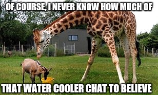 OF COURSE, I NEVER KNOW HOW MUCH OF THAT WATER COOLER CHAT TO BELIEVE | made w/ Imgflip meme maker