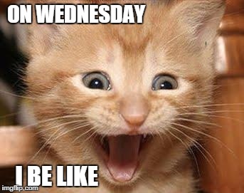 Excited Cat | ON WEDNESDAY; I BE LIKE | image tagged in memes,excited cat | made w/ Imgflip meme maker