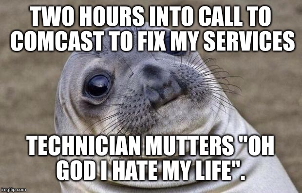 Awkward Moment Sealion Meme | TWO HOURS INTO CALL TO COMCAST TO FIX MY SERVICES; TECHNICIAN MUTTERS "OH GOD I HATE MY LIFE". | image tagged in memes,awkward moment sealion,AdviceAnimals | made w/ Imgflip meme maker
