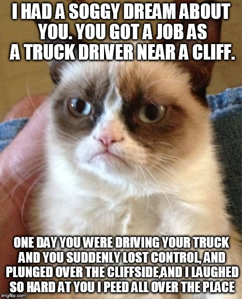 grumpy cat laughs when you die | I HAD A SOGGY DREAM ABOUT YOU. YOU GOT A JOB AS A TRUCK DRIVER NEAR A CLIFF. ONE DAY YOU WERE DRIVING YOUR TRUCK AND YOU SUDDENLY LOST CONTROL, AND PLUNGED OVER THE CLIFFSIDE,AND I LAUGHED SO HARD AT YOU I PEED ALL OVER THE PLACE | image tagged in memes,grumpy cat | made w/ Imgflip meme maker