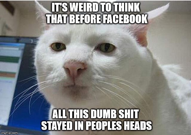To True Kitty | IT'S WEIRD TO THINK THAT BEFORE FACEBOOK; ALL THIS DUMB SHIT STAYED IN PEOPLES HEADS | image tagged in kitty,too true,deep thought | made w/ Imgflip meme maker