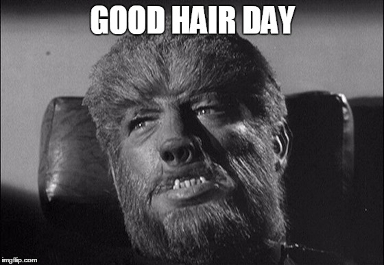 GOOD HAIR DAY | image tagged in hair | made w/ Imgflip meme maker