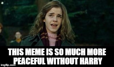 Just Hermione | THIS MEME IS SO MUCH MORE PEACEFUL WITHOUT HARRY | image tagged in just hermione | made w/ Imgflip meme maker