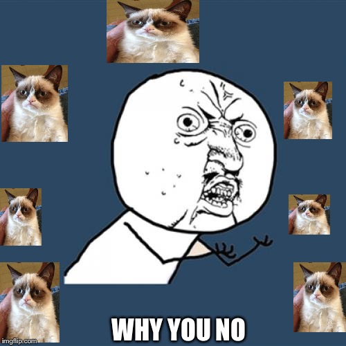 Always No | WHY YOU NO | image tagged in memes,y u no,grumpy cat | made w/ Imgflip meme maker