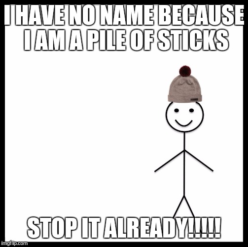 Be Like Bill | I HAVE NO NAME BECAUSE I AM A PILE OF STICKS; STOP IT ALREADY!!!!! | image tagged in be like bill template | made w/ Imgflip meme maker