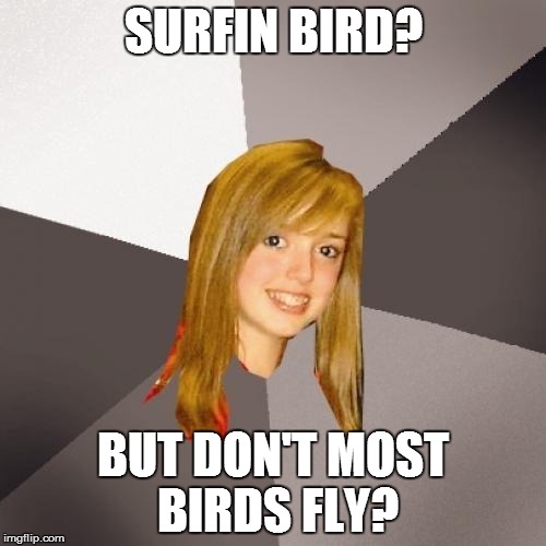 Musically Oblivious 8th Grader | SURFIN BIRD? BUT DON'T MOST BIRDS FLY? | image tagged in memes,musically oblivious 8th grader | made w/ Imgflip meme maker