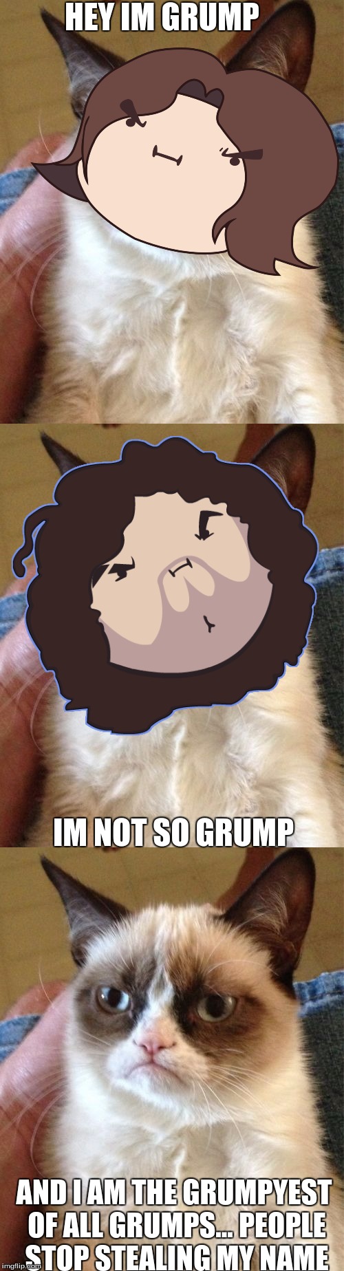 game grumpy cat | HEY IM GRUMP; IM NOT SO GRUMP; AND I AM THE GRUMPYEST OF ALL GRUMPS... PEOPLE STOP STEALING MY NAME | image tagged in grumpy cat,game grumps,memes | made w/ Imgflip meme maker