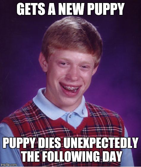 Bad Luck Brian | GETS A NEW PUPPY; PUPPY DIES UNEXPECTEDLY THE FOLLOWING DAY | image tagged in memes,bad luck brian | made w/ Imgflip meme maker