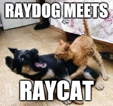 Raydog's and Raycat's first metting | RAYDOG MEETS; RAYCAT | image tagged in cat dog fight,memes,raydog,raycat | made w/ Imgflip meme maker